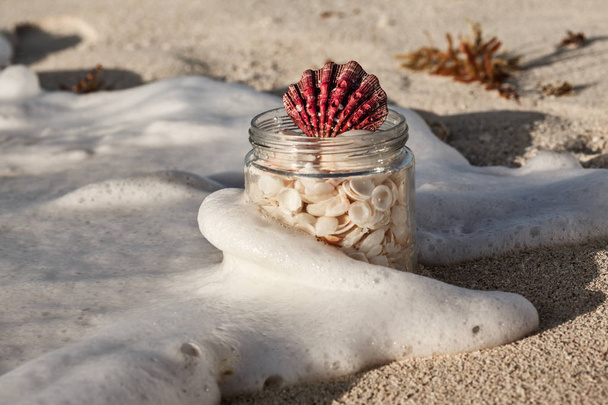 Conchas do mar no frasco em uma praia de areia ao pôr do sol
 - Foto, Imagem