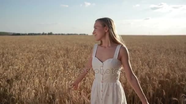 Ευτυχισμένος όμορφη γυναίκα που περπατά στον τομέα των σιτηρών - Πλάνα, βίντεο