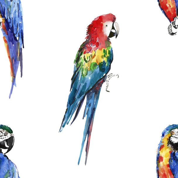 Bright colorful beautiful lovely sophisticated jungle tropical yellow, green, red and blue big tropical parrots diagonal pattern watercolor hand illustration - Фото, зображення