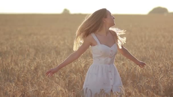 Krásná žena s létáním vlasy v poli při západu slunce - Záběry, video