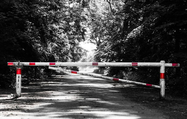 barrier crossing a way in the forest - Photo, Image