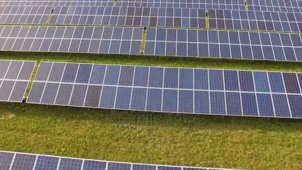 close-up of solar panels on green grass with blue sky - Footage, Video