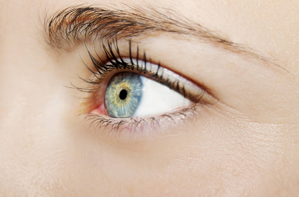 A beautiful insightful look woman's eye. Close up shot - Valokuva, kuva