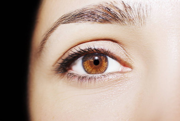 A beautiful insightful look woman's eye. Close up shot - 写真・画像
