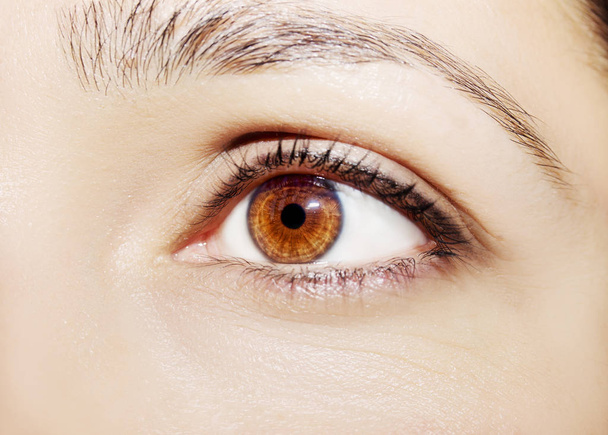 A beautiful insightful look woman's eye. Close up shot - 写真・画像