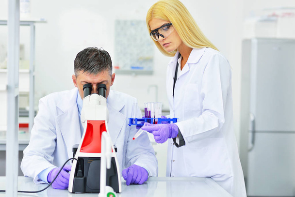 Cientistas que trabalham em laboratório - Foto, Imagem