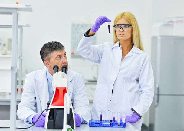 Cientistas que trabalham em laboratório - Foto, Imagem