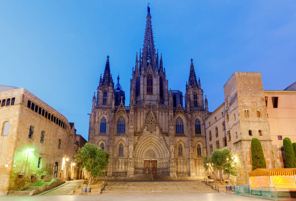 Barcelona. die Kathedrale im Morgengrauen. - Foto, Bild