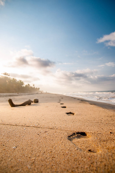 Шаги на пляже Тайрона в Колумбии
 - Фото, изображение