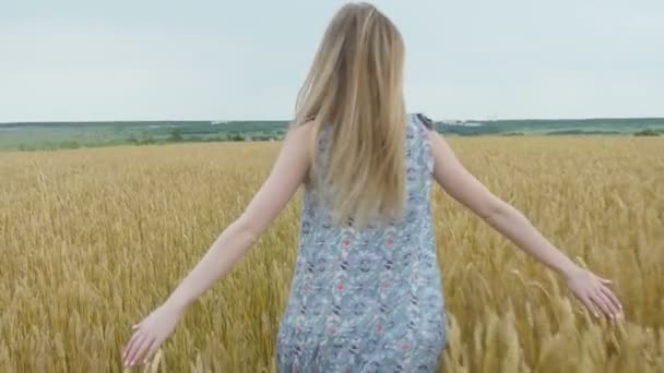Girl runs in wheat field - Footage, Video