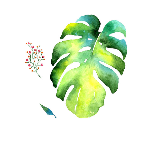 Τροπική Χαβάη φύλλα φοίνικα σε στυλ υδροχρώματος απομονωμένες. - Φωτογραφία, εικόνα