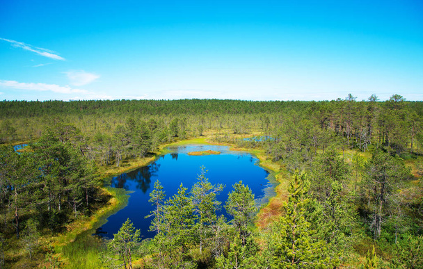 エストニアのビルビル ラバ沼湖. - 写真・画像