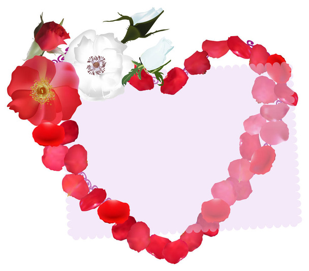 Herz-Symbol aus roten und weißen Rosenblättern - Vektor, Bild