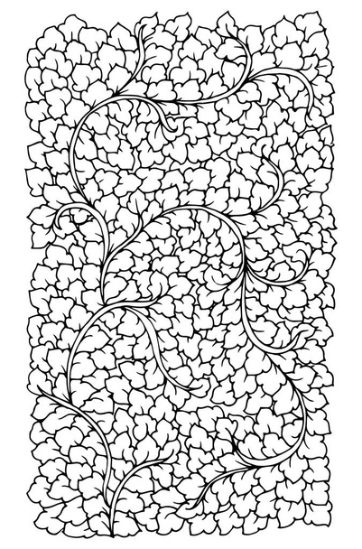 Folhas de doodle desenhadas à mão para anti-stress adulto. Desenho para colorir isolado sobre fundo branco. Doodling ornamento, relaxar e meditação
. - Vetor, Imagem