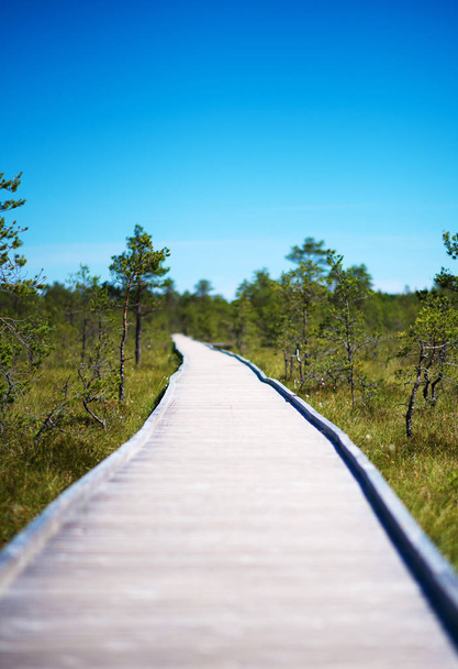 沼に木製の通路。ヴィル ラバ、ラヘマー公園、エストニア. - 写真・画像