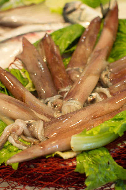 Calamari freschi crudi non congelati sul piatto sul ghiaccio
 - Foto, immagini