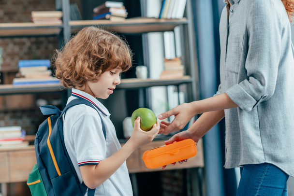 mother giving school lunch to son - Photo, Image