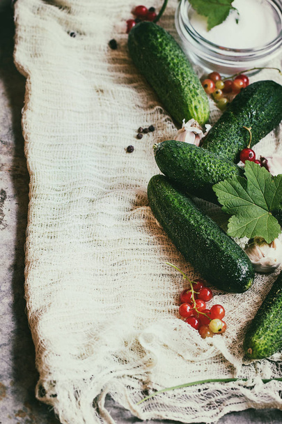Fresh cucumbers prepared for pickling - 写真・画像