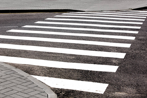 Road marking transition white on asphalt - Фото, изображение