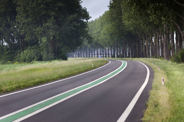 Autostrada z zielonej linii w Holandii - Zdjęcie, obraz