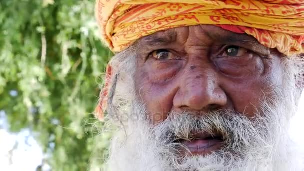 Portret van een Indiaan in Jaisalmer - Video