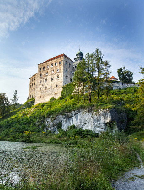 Picturesque castle over the river valley in Pieskowa Skala - Photo, Image