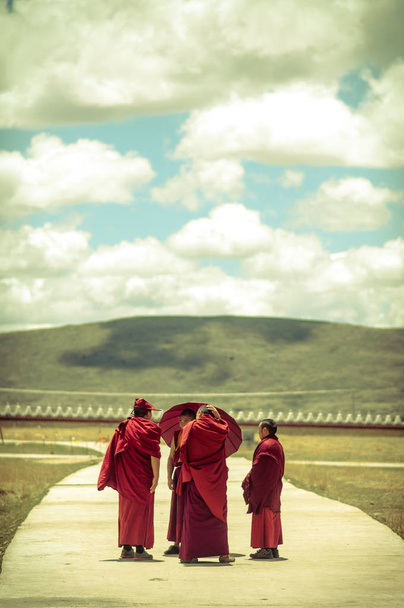Group of tibetan monks in Sichuan - Photo, Image