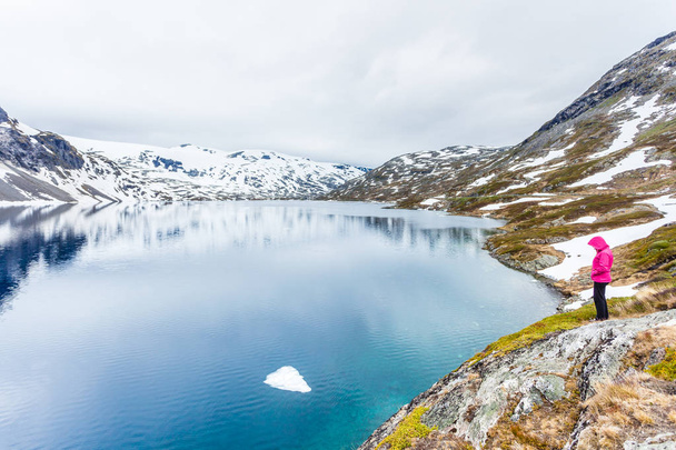 Turistka stojící u jezera Djupvatnet, Norsko - Fotografie, Obrázek