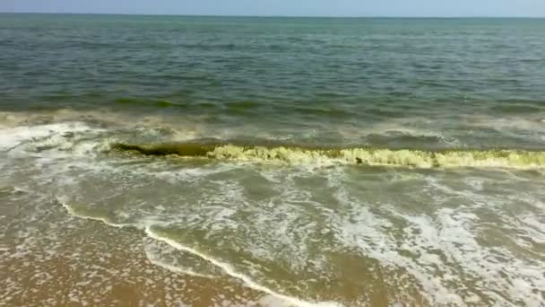 緑藻遅い mo で海から空のビーチに上陸予定の波 - 映像、動画