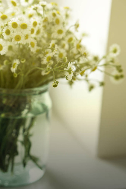 Bukiet kwiaty camomiles w szklanym słoju na stole przez okno. Dźwięk w Vintage - Zdjęcie, obraz