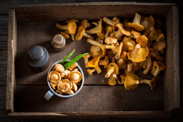 Healthy chanterelles freshly harvested from the forest - Photo, Image