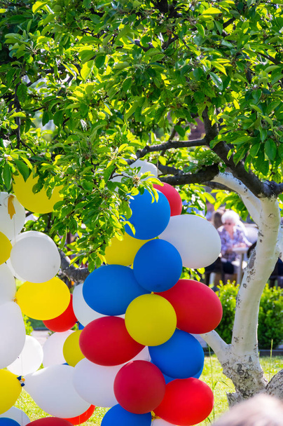 кульки і дерево
 - Фото, зображення