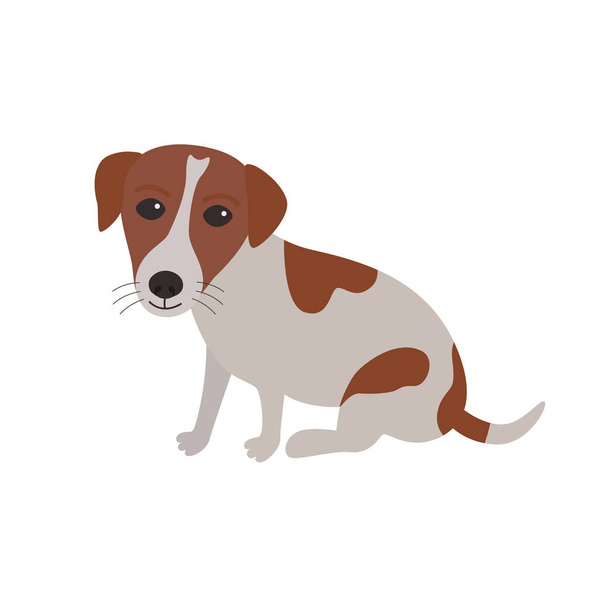 Jack Russell Terrier hond zittend - Vector, afbeelding