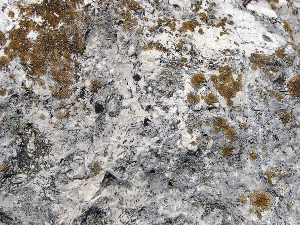 Kő textúra. A régi fény kő a piros zuzmó részletes felülete. - Fotó, kép