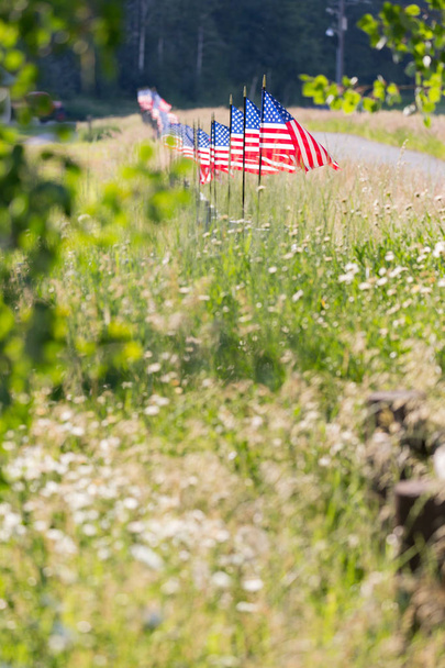 フェンスの上の米国旗の行 - 写真・画像