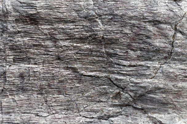 La superficie de Phyllite esquistos de la edad Proterozoica
 - Foto, Imagen