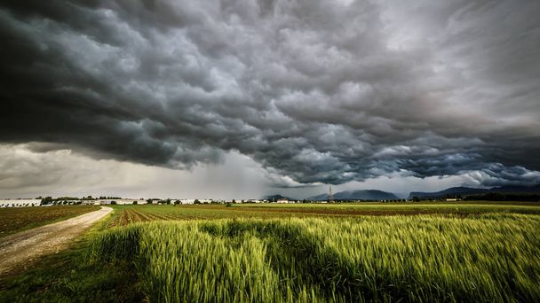 Sturm über den Feldern - Foto, Bild