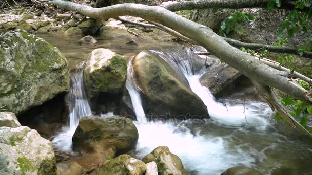 Wodospad na rzece Krymu Mountain - Materiał filmowy, wideo