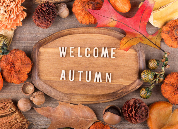 Placa de Outono de boas-vindas
 - Foto, Imagem