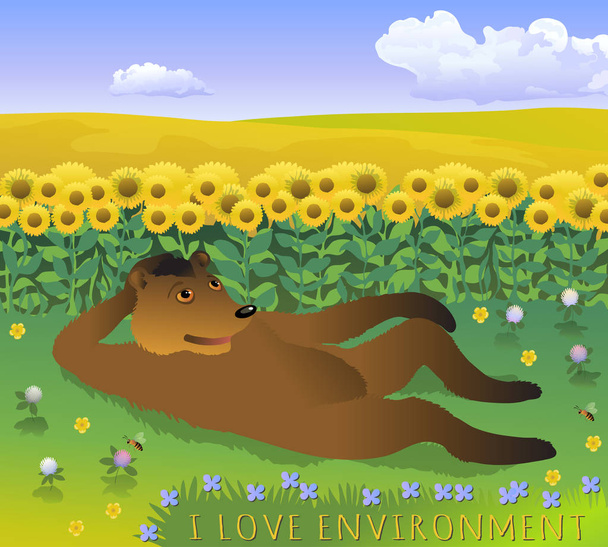 Beer rustend op de clearing. Cartoon vectorillustratie met beer op het gras, zonnebloemen en blauwe hemel met wolken. - Vector, afbeelding