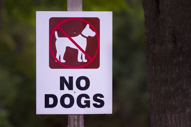 犬の公園で許可なし - 写真・画像