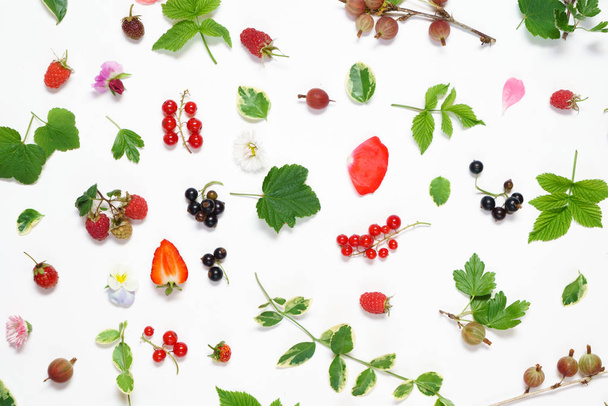summer berries and flowers  - Zdjęcie, obraz