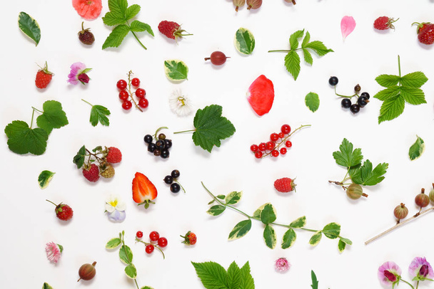 summer berries and flowers  - Фото, изображение