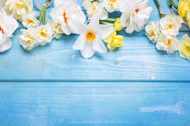 Frame from colorful spring flowers - Valokuva, kuva