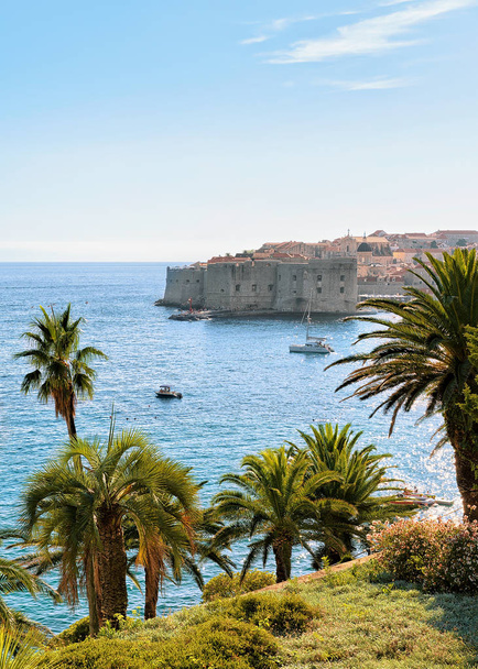 Palmeras y viejo fuerte de Dubrovnik en el mar Adriático
 - Foto, Imagen