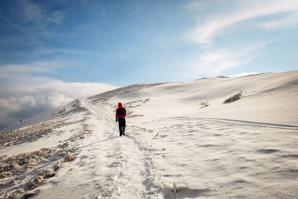 Turysta górski w złych warunkach pogodowych w okresie zimowym  - Zdjęcie, obraz