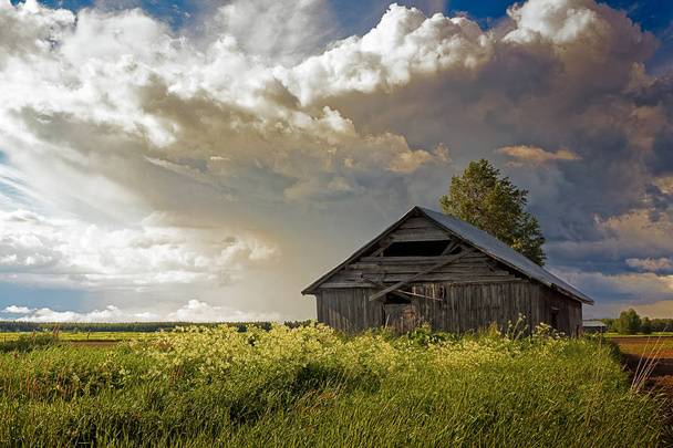Nuvole estive sopra il fienile e campi
 - Foto, immagini