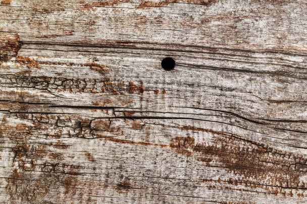 Старий замерзлий гнилий тріснутий квадратний дерев'яний болард грубо зарослий гранжева текстура
 - Фото, зображення