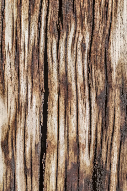 Старий замерзлий гнилий тріснутий квадратний дерев'яний болард грубо зарослий гранжева текстура
 - Фото, зображення