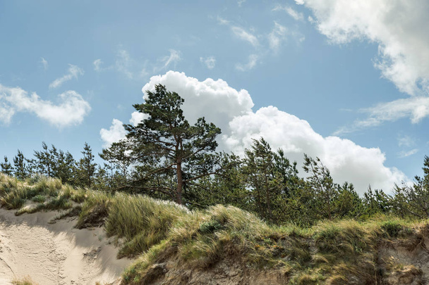 Krajobraz klasycznego plaży nad Morzem Bałtyckim - Zdjęcie, obraz